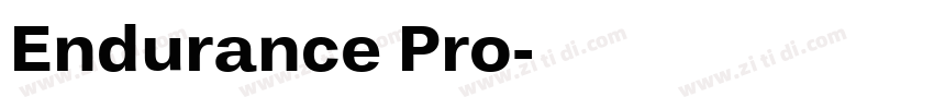 Endurance Pro字体转换